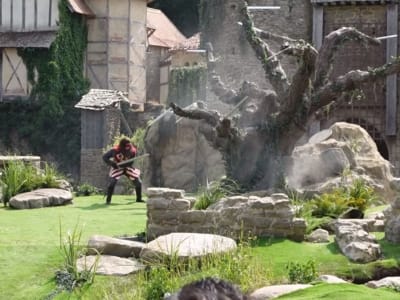 King Arthur's sword: Tristan's duel in the public eye